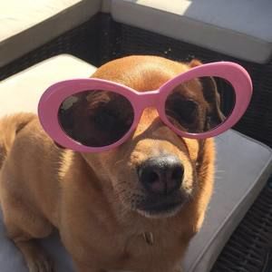 Meet your Posher, Krista